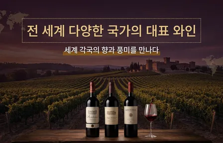 전 세계 다양한 국가의 대표 와인 (수정됨)